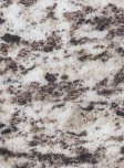 Tiger White