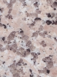 Xili Red (G498)
