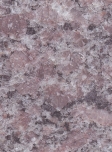 G300 (NG037)