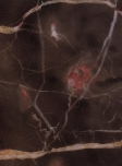 Mystique Dark