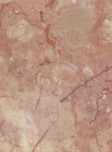 Rosalia