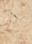 Sunny Beige